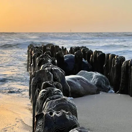 Kiebitz * Westerland