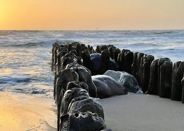 Kiebitz * Westerland